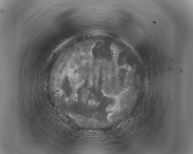 X0000085080823200704021434