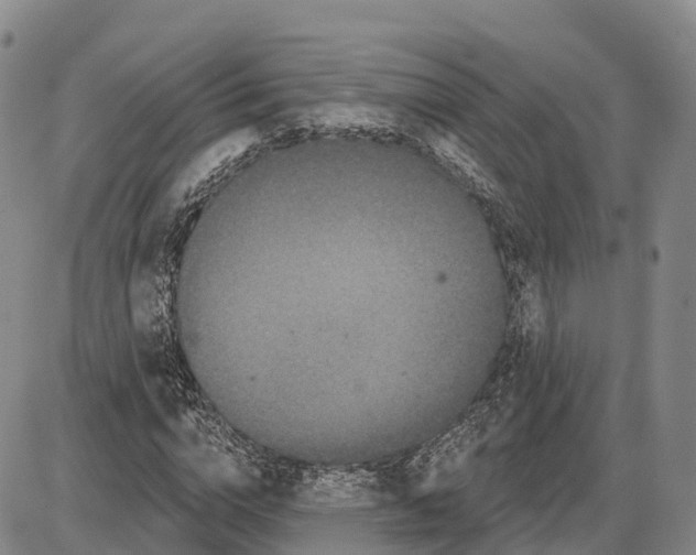 X0000085080824200704021434