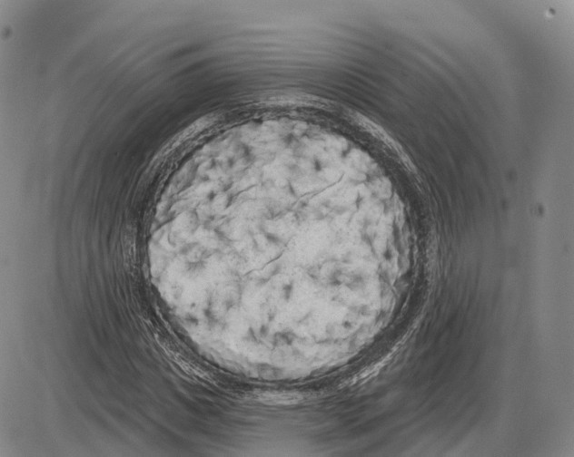 X0000085080825200704021434