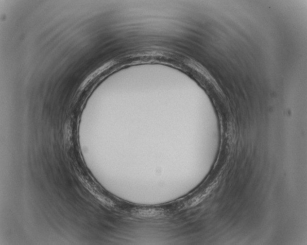 X0000085080826200704021434