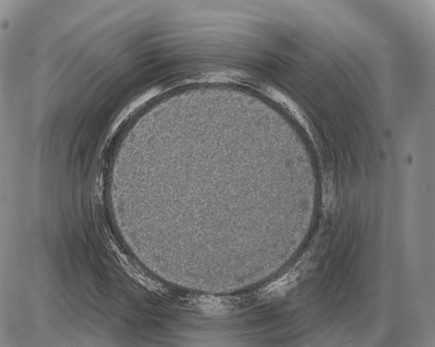 X0000085080827200704021434