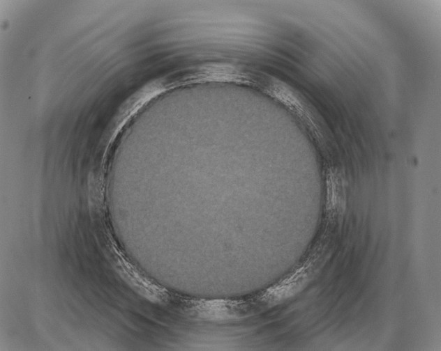 X0000085080828200704021434