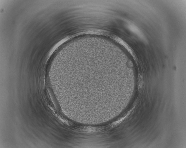 X0000085080829200704021434