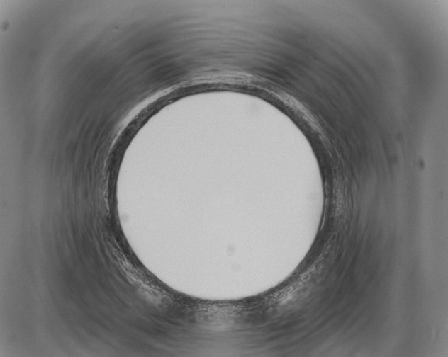 X0000085080830200704021434