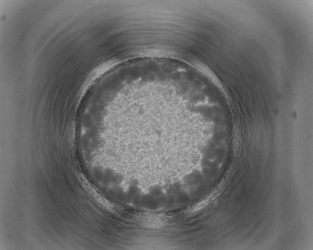 X0000085080831200704021434