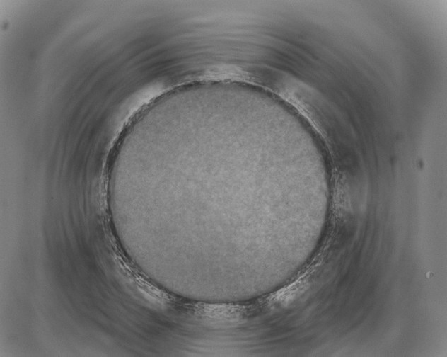 X0000085080832200704021434