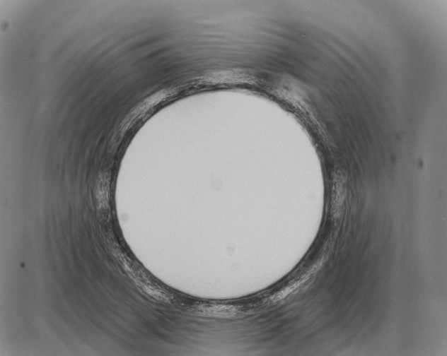 X0000085080833200704021434