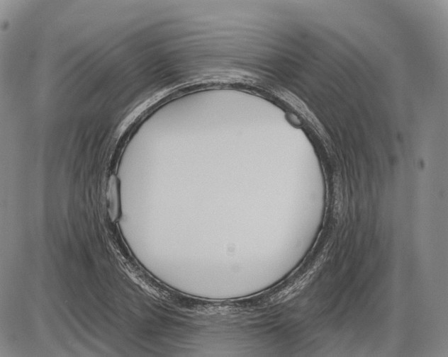 X0000085080834200704021434