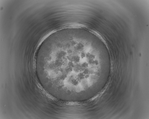 X0000085080835200704021434