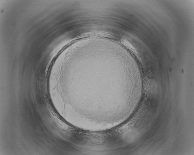 X0000085080836200704021434