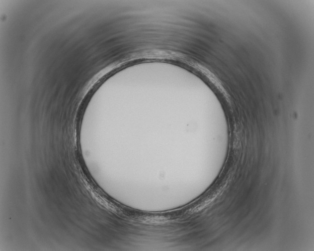 X0000085080837200704021434