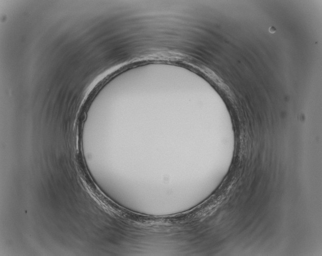 X0000085080838200704021434