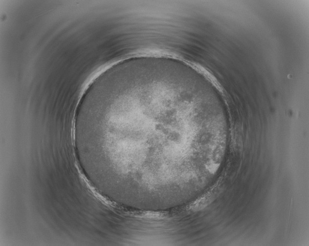 X0000085080839200704021434