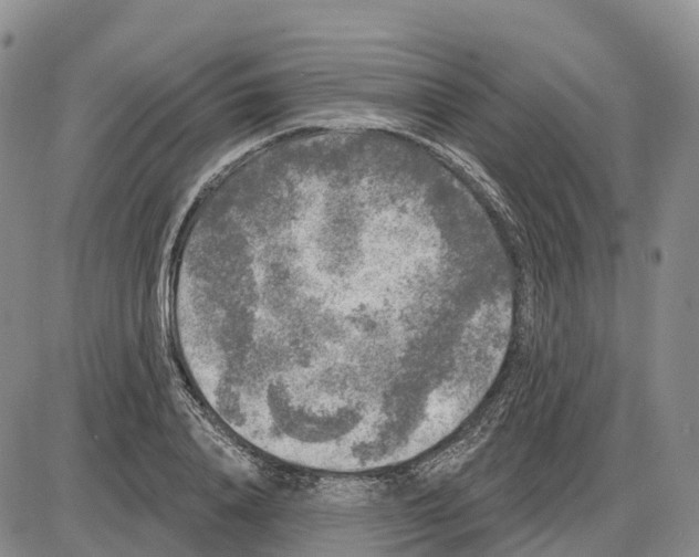 X0000085080840200704021434