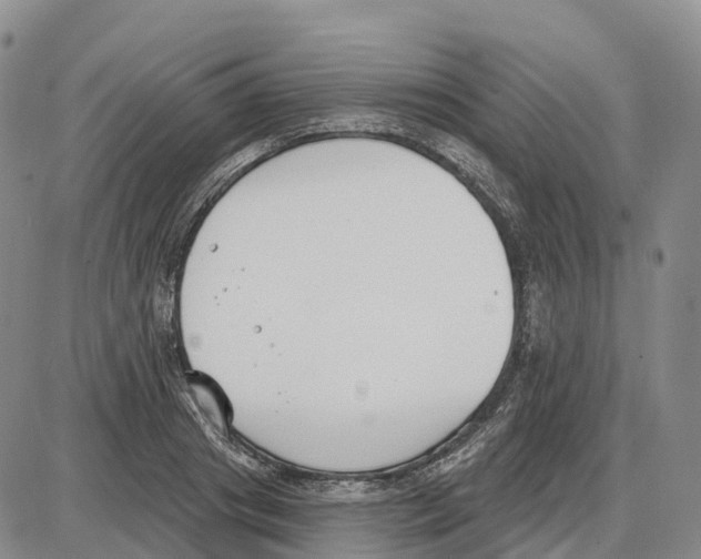 X0000085080841200704021435