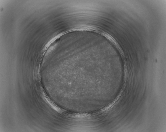 X0000085080842200704021435