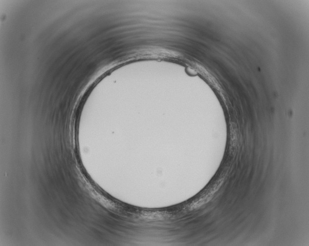 X0000085080843200704021435