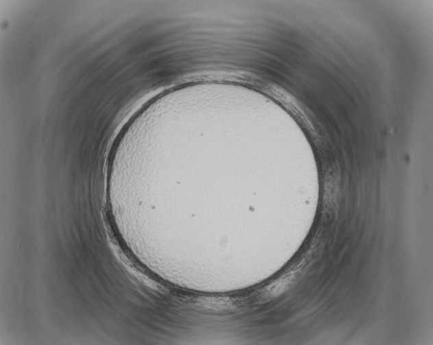 X0000085080844200704021435