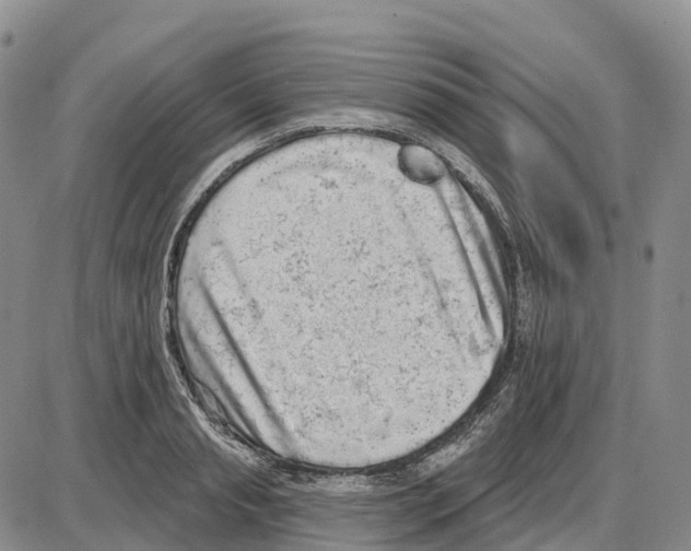 X0000085080845200704021435