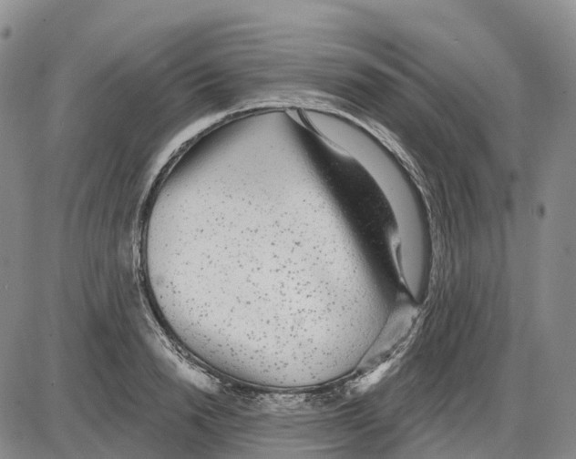 X0000085080846200704021435