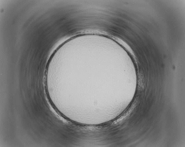 X0000085080847200704021435