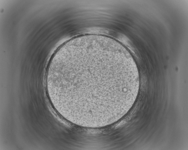 X0000085080848200704021435