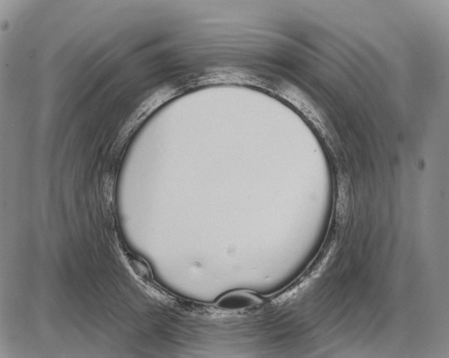 X0000085080849200704021435