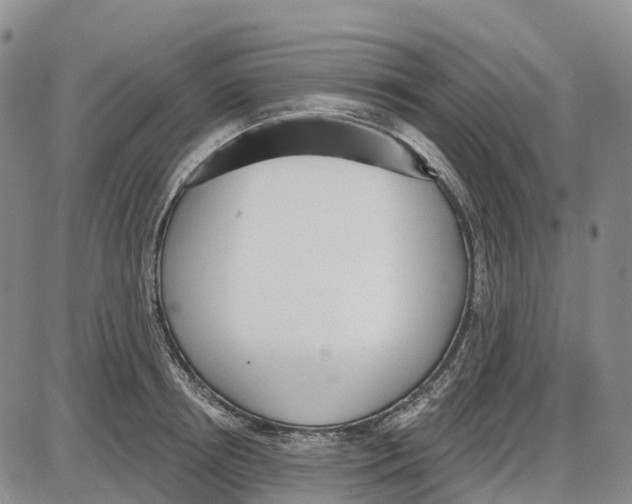 X0000085080850200704021435