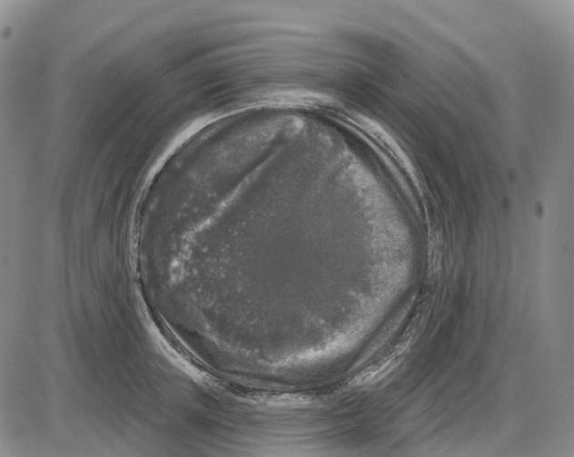 X0000085080851200704021435