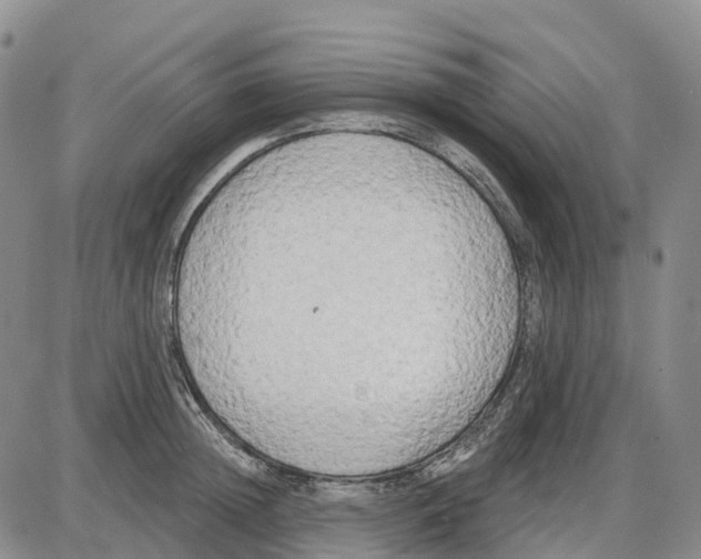 X0000085080852200704021435