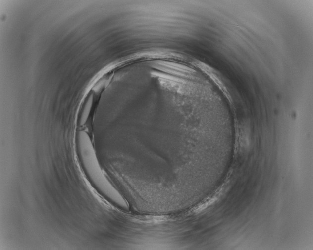 X0000085080853200704021435