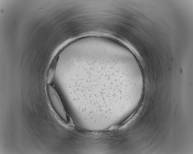 X0000085080854200704021435