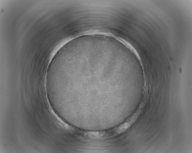 X0000085080855200704021435