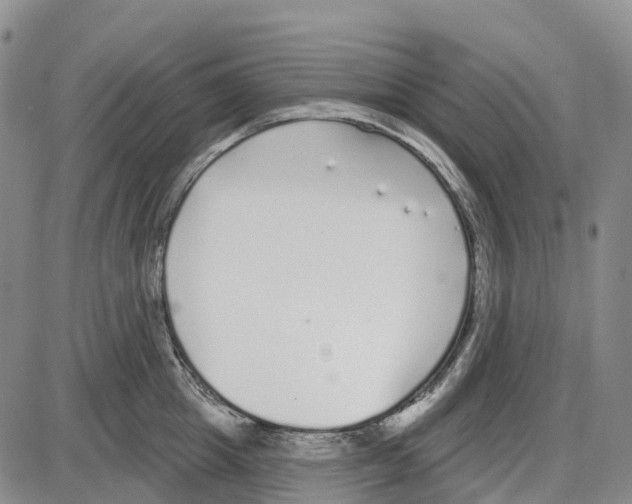 X0000085080857200704021435