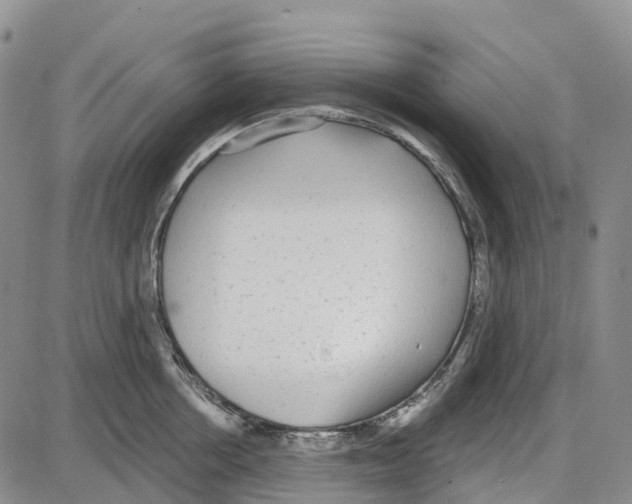 X0000085080858200704021435