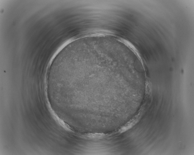 X0000085080859200704021435