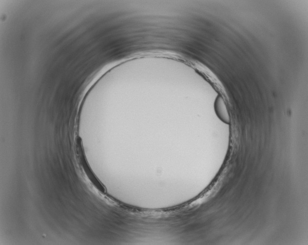 X0000085080860200704021435