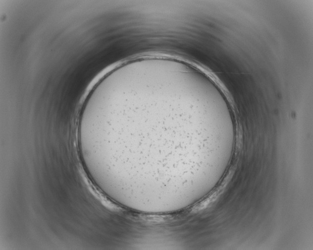 X0000085080862200704021435