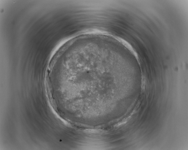 X0000085080863200704021435