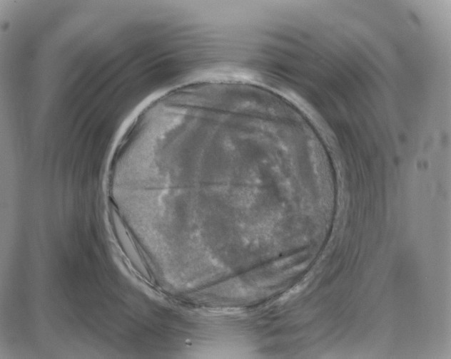 X0000085080864200704021435