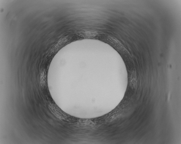 X0000085080866200704021434