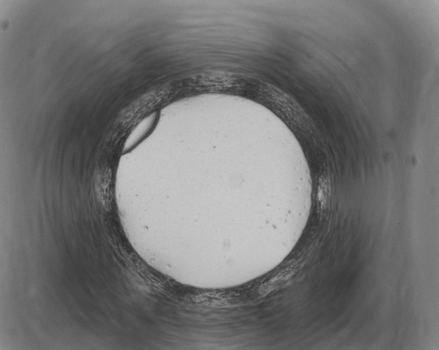 X0000085080867200704021434