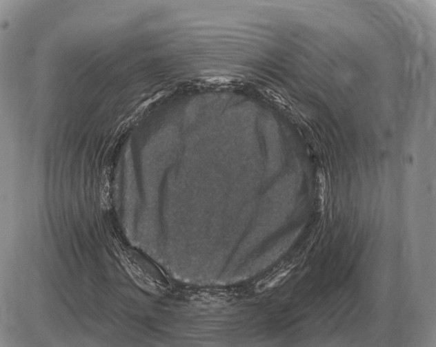 X0000085080868200704021434