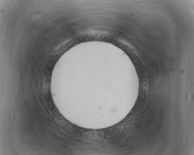 X0000085080869200704021434