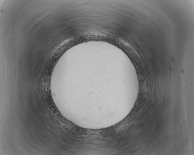 X0000085080870200704021434