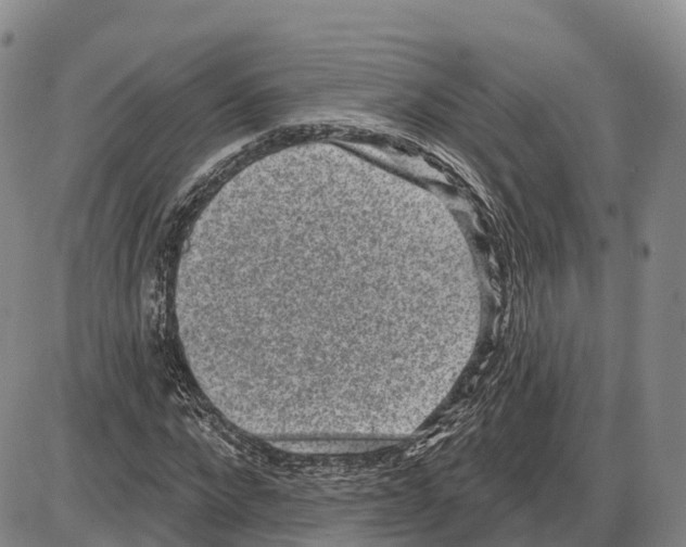 X0000085080872200704021434