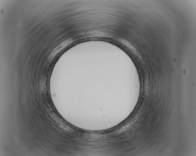 X0000085080873200704021434