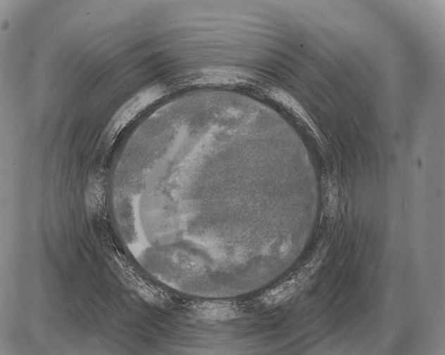 X0000085080874200704021434