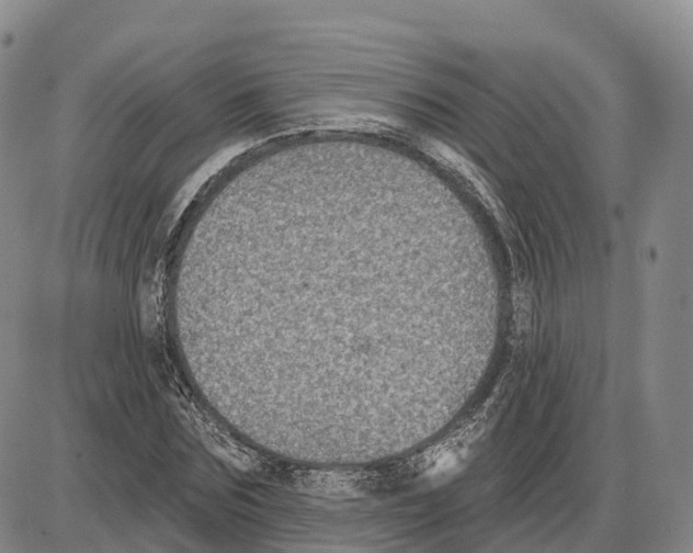 X0000085080875200704021434