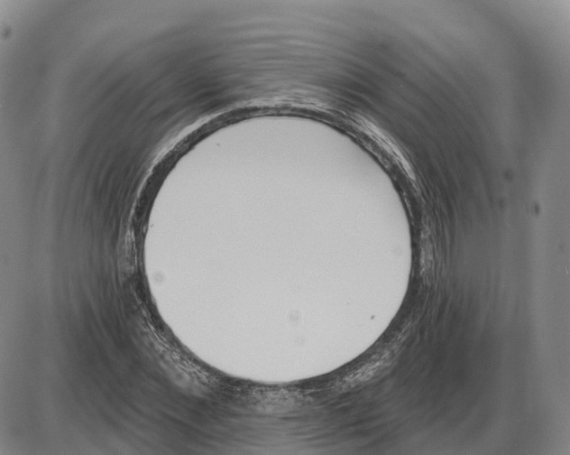 X0000085080876200704021434